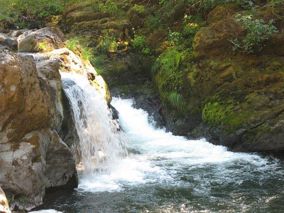 Wasserfall am Umquar River (Tiller, Oregon USA) der nach Robert G. Campbell benannt wurde. 